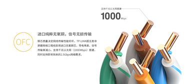 tl ec5e00 305 灰 超五類非屏蔽網(wǎng)絡(luò)工程線 305米 灰色